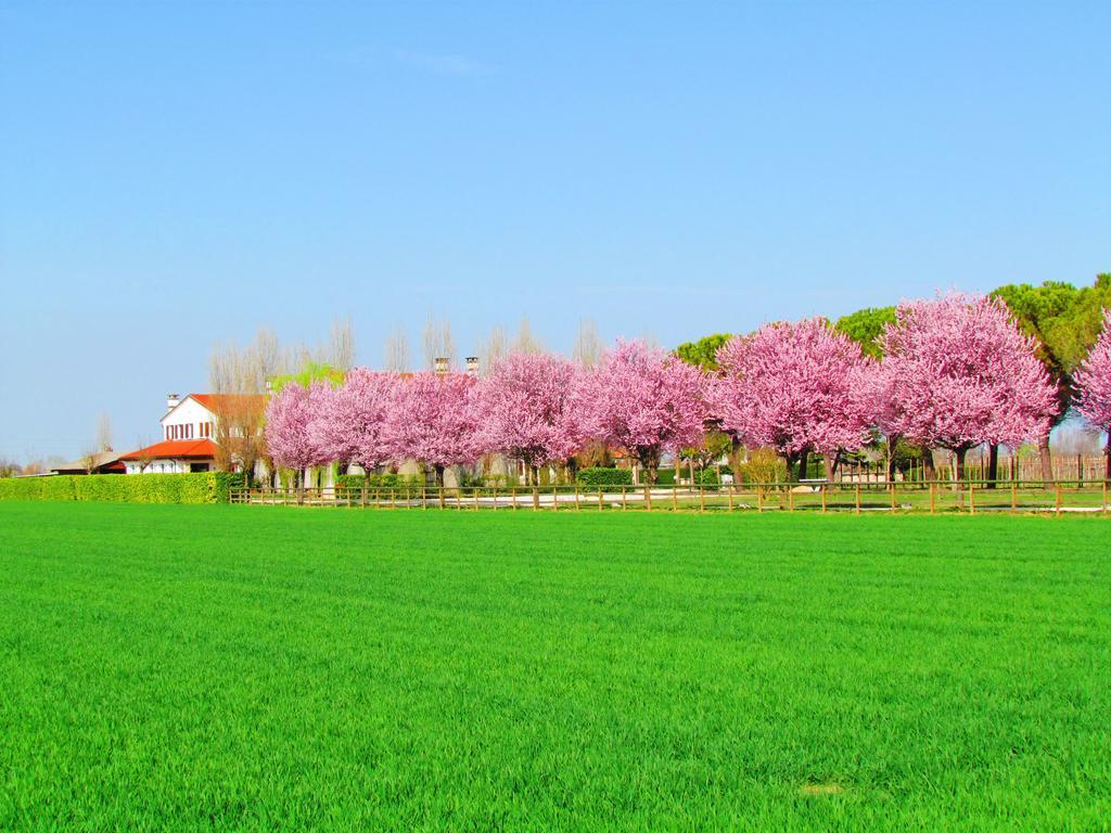 Le Cipressine Farm stay Meolo
