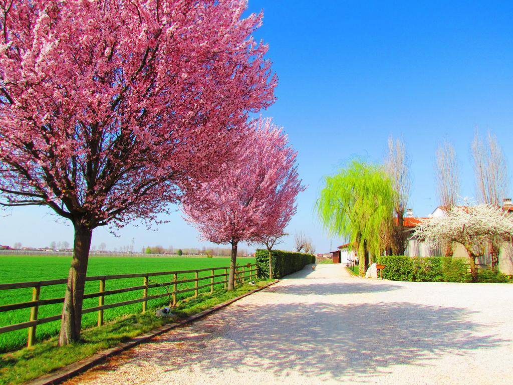 Farm stay Le Cipressine Meolo