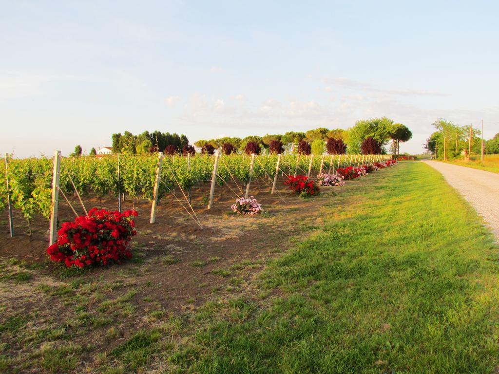 Le Cipressine Meolo