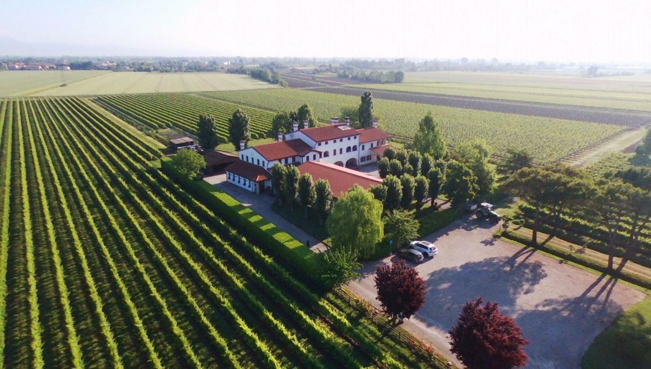 Le Cipressine Farm stay