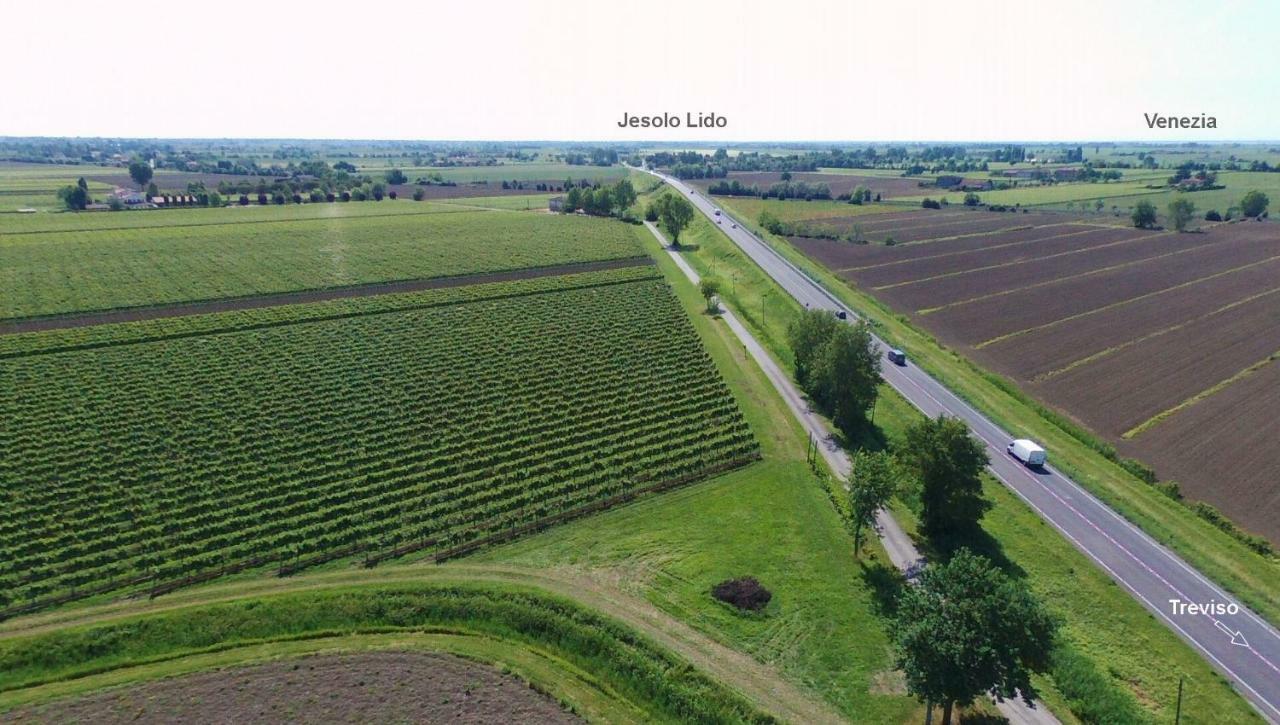 Le Cipressine Farm stay *